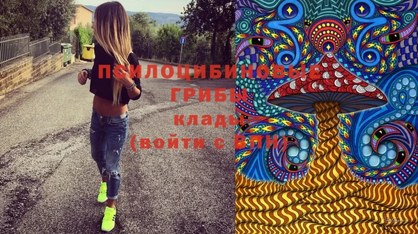 прущие крисы Вязники