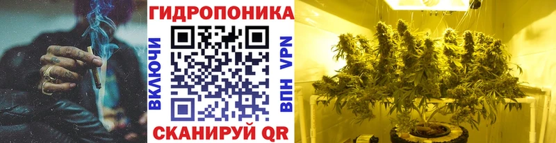 Шишки марихуана план  Зея 